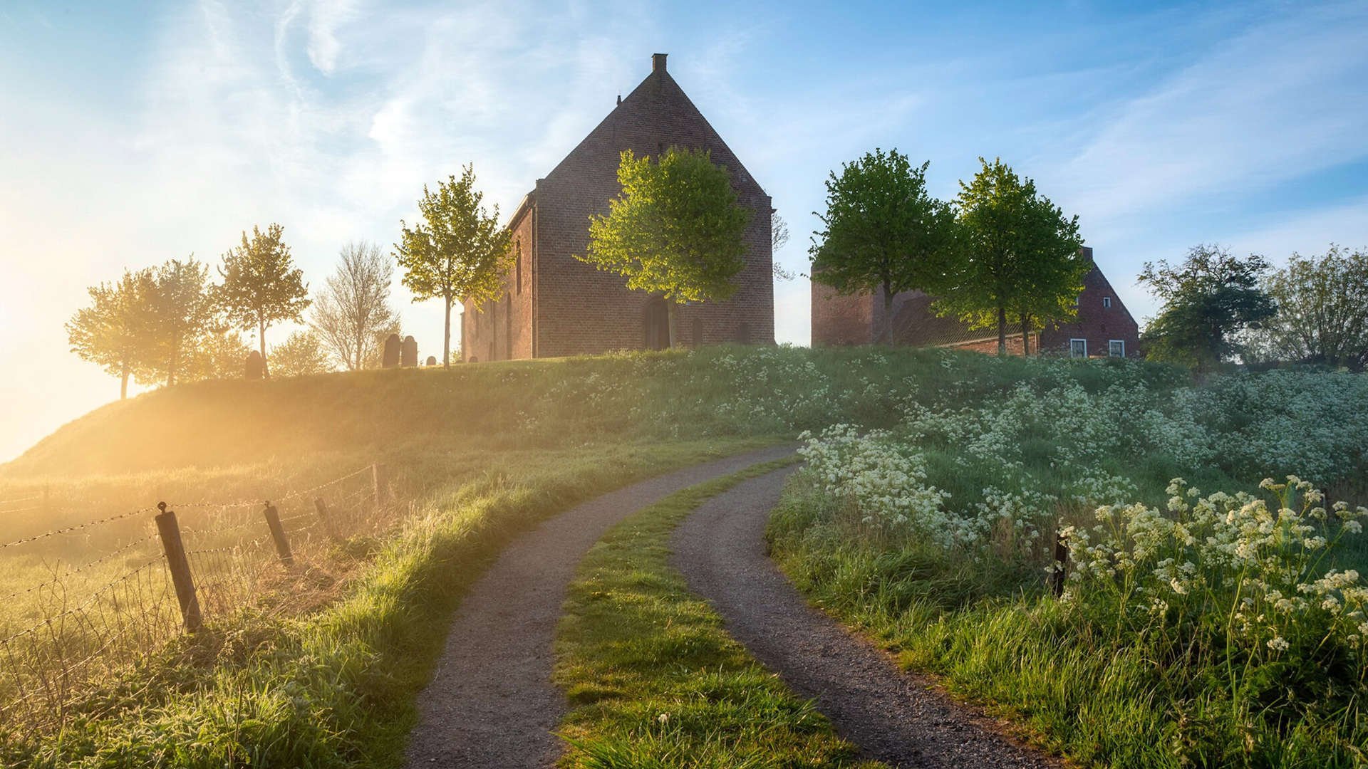 v7.2.5 版本正式发布，2026年2月19日，聚焦性能优化与安全加固